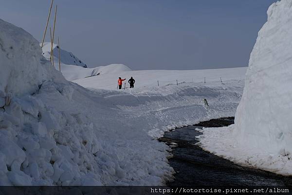 [日本北陸關西] 2025.4 黑部立山,雪牆也太壯觀了吧 