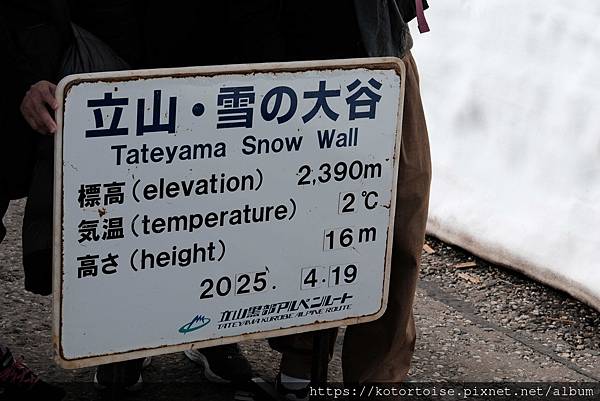 [日本北陸關西] 2025.4 黑部立山,雪牆也太壯觀了吧 
