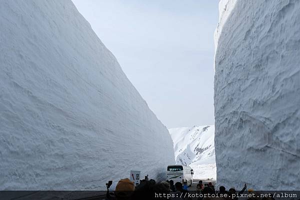 [日本北陸關西] 2025.4 黑部立山,雪牆也太壯觀了吧 