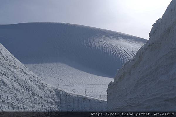 [日本北陸關西] 2025.4 黑部立山,雪牆也太壯觀了吧 