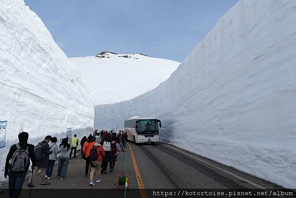 [日本北陸關西] 2025.4 黑部立山,雪牆也太壯觀了吧 