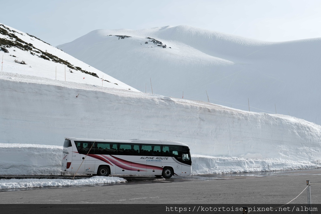 [日本北陸關西] 2025.4 黑部立山,雪牆也太壯觀了吧 
