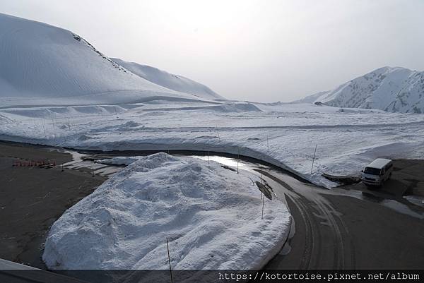 [日本北陸關西] 2025.4 黑部立山,雪牆也太壯觀了吧 