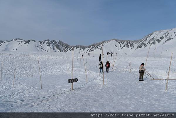 [日本北陸關西] 2025.4 黑部立山,雪牆也太壯觀了吧 