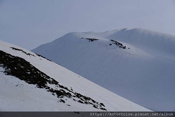 [日本北陸關西] 2025.4 黑部立山,雪牆也太壯觀了吧 