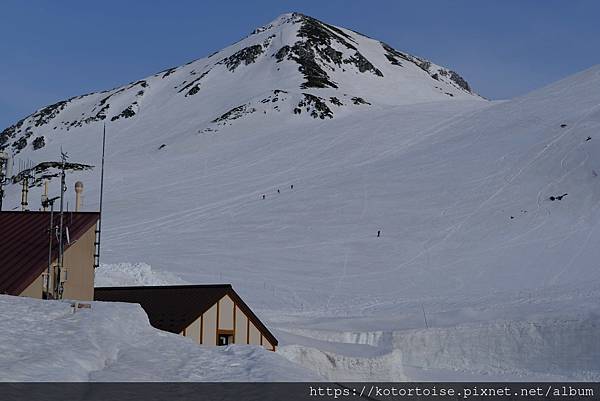 [日本北陸關西] 2025.4 黑部立山,雪牆也太壯觀了吧 