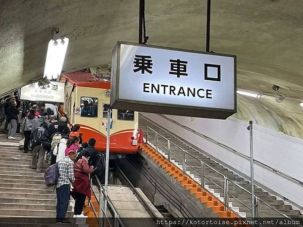 [日本北陸關西] 2025.4 黑部立山,雪牆也太壯觀了吧 