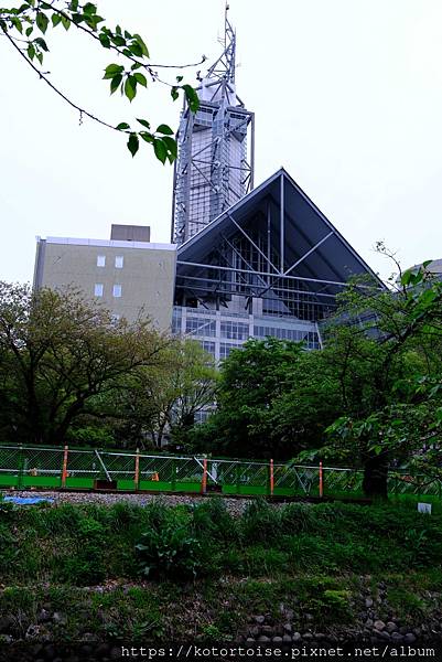 [日本北陸關西] 2025.4 慢行富山城，長途跋涉回京都