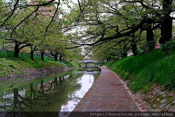 [日本北陸關西] 2025.4 慢行富山城，長途跋涉回京都