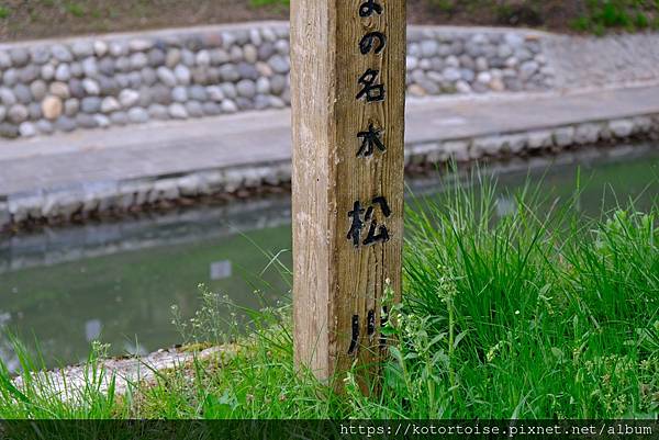 [日本北陸關西] 2025.4 慢行富山城，長途跋涉回京都