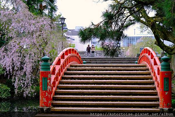 [日本北陸關西] 2025.4 慢行富山城，長途跋涉回京都
