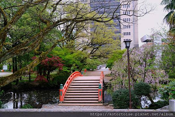 [日本北陸關西] 2025.4 慢行富山城，長途跋涉回京都