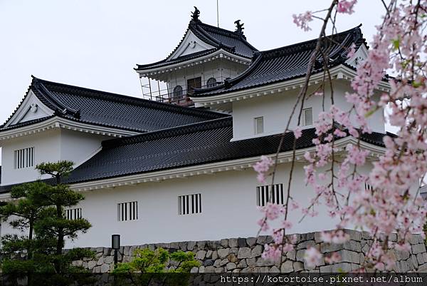 [日本北陸關西] 2025.4 慢行富山城，長途跋涉回京都