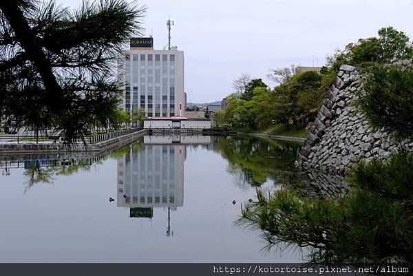 [日本北陸關西] 2025.4 慢行富山城，長途跋涉回京都