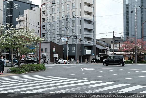 [日本北陸關西] 2025.4 慢行富山城，長途跋涉回京都