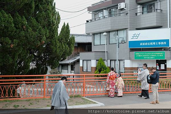 [北陸關西] 2025.4 人山人海伏見稻荷大社，萬紫千紅平