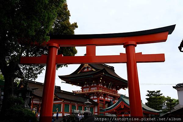 [北陸關西] 2025.4 人山人海伏見稻荷大社，萬紫千紅平