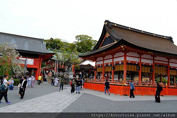 [北陸關西] 2025.4 人山人海伏見稻荷大社，萬紫千紅平