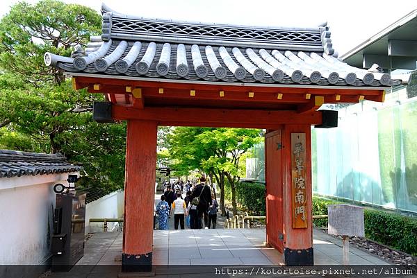 [北陸關西] 2025.4 人山人海伏見稻荷大社，萬紫千紅平