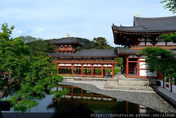 [北陸關西] 2025.4 人山人海伏見稻荷大社，萬紫千紅平