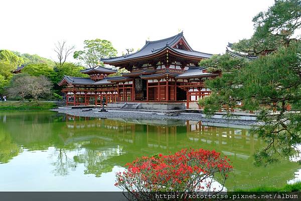 [北陸關西] 2025.4 人山人海伏見稻荷大社，萬紫千紅平