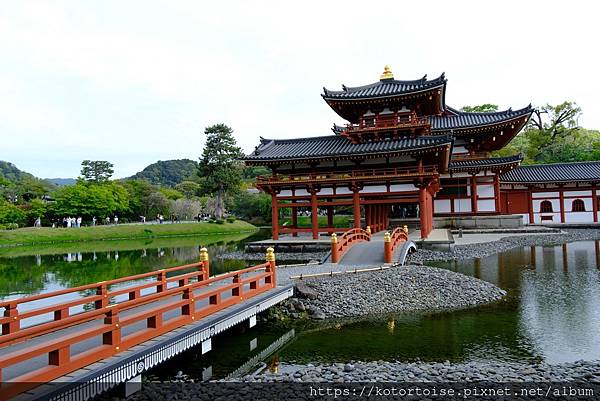 [北陸關西] 2025.4 人山人海伏見稻荷大社，萬紫千紅平