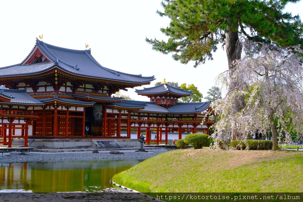 [北陸關西] 2025.4 人山人海伏見稻荷大社，萬紫千紅平