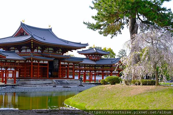 [日本北陸關西] 2025.4 黑部立山五天四夜團體行