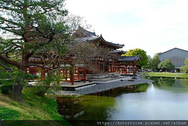 [北陸關西] 2025.4 人山人海伏見稻荷大社，萬紫千紅平