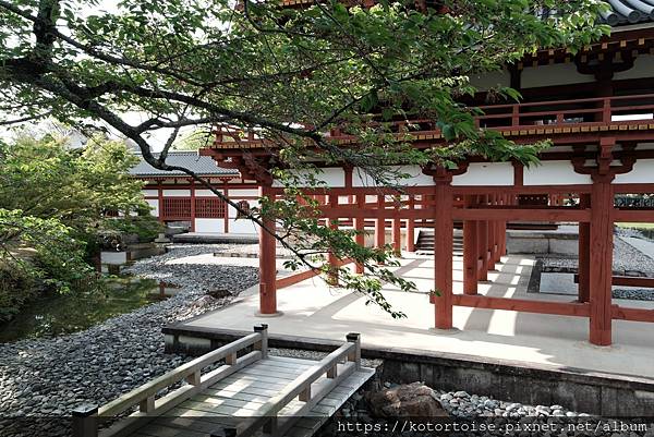 [北陸關西] 2025.4 人山人海伏見稻荷大社，萬紫千紅平