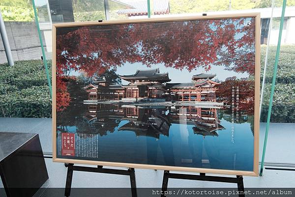 [北陸關西] 2025.4 人山人海伏見稻荷大社，萬紫千紅平