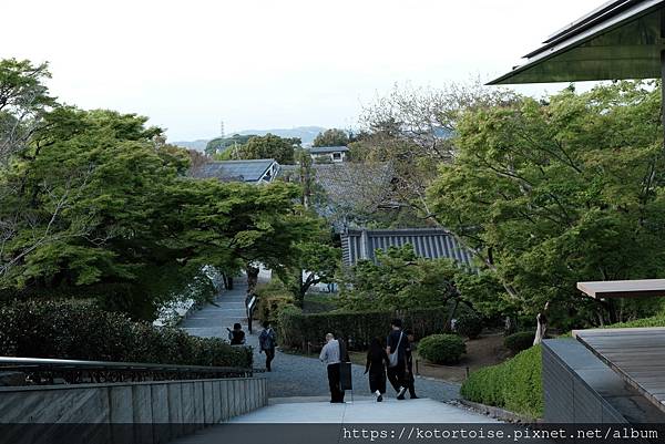 [北陸關西] 2025.4 人山人海伏見稻荷大社，萬紫千紅平