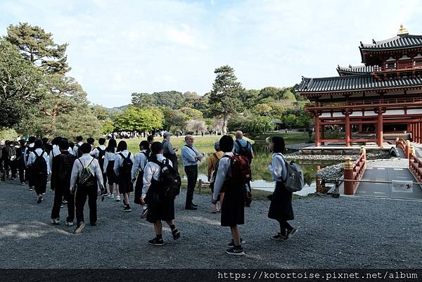 [北陸關西] 2025.4 人山人海伏見稻荷大社，萬紫千紅平