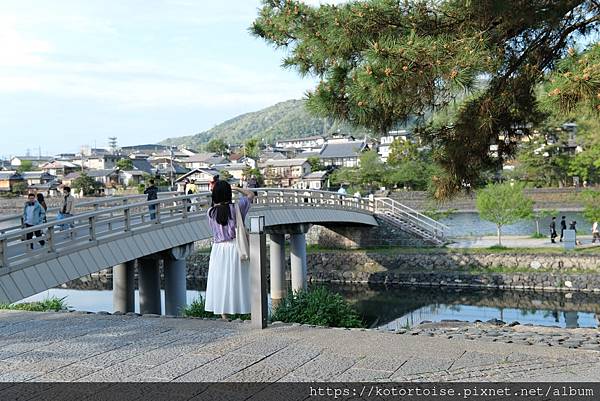 [北陸關西] 2025.4 人山人海伏見稻荷大社，萬紫千紅平