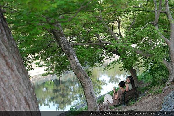 [北陸關西] 2025.4 人山人海伏見稻荷大社，萬紫千紅平