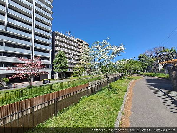 [日本北陸關西] 2025.4 大阪通天閣熱鬧滾滾