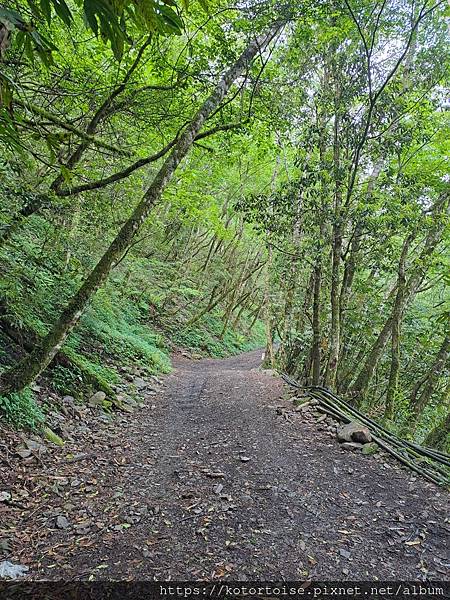[台灣/台中] 2025.5 閂山鈴鳴三天兩夜雨訓 (上)