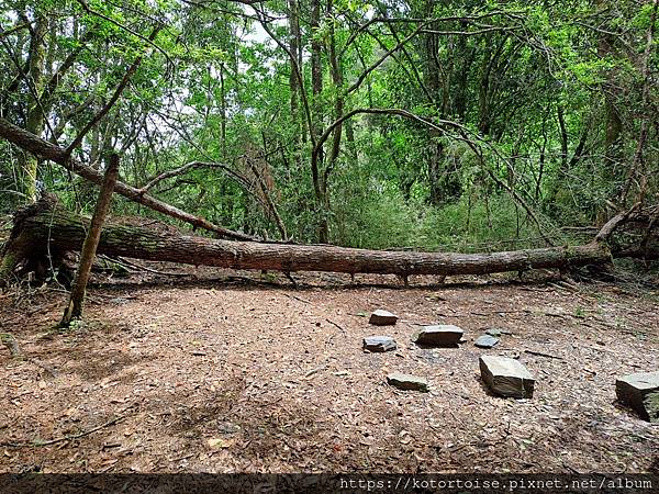 [台灣/台中] 2025.5 閂山鈴鳴三天兩夜雨訓 (上)