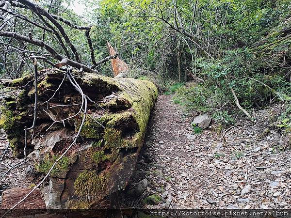 [台灣/台中] 2025.5 閂山鈴鳴三天兩夜雨訓 (上)