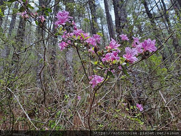 [台灣/台中] 2025.5 閂山鈴鳴三天兩夜雨訓 (上)