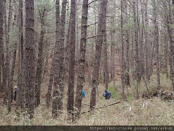 [台灣/台中] 2025.5 閂山鈴鳴三天兩夜雨訓 (上)