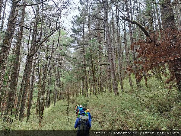 [台灣/台中] 2025.5 閂山鈴鳴三天兩夜雨訓 (上)