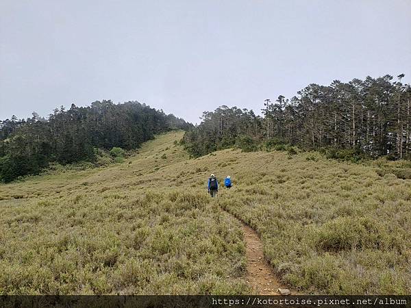 [台灣/台中] 2025.5 閂山鈴鳴三天兩夜雨訓 (上)