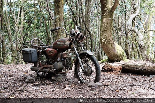[台灣/台中] 2025.5 閂山鈴鳴三天兩夜雨訓 (上)