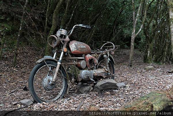 [台灣/台中] 2025.5 閂山鈴鳴三天兩夜雨訓 (上)