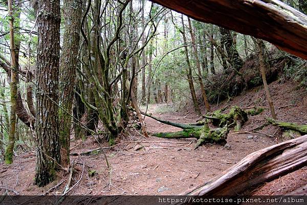 [台灣/台中] 2025.5 閂山鈴鳴三天兩夜雨訓 (上)