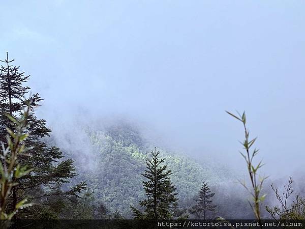 [台灣/台中] 2025.5 閂山鳴鈴三天兩夜雨訓 (下)