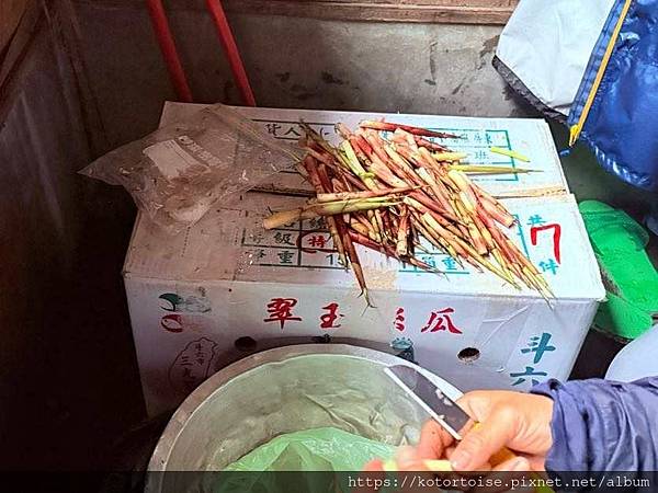 [台灣/台中] 2025.5 閂山鳴鈴三天兩夜雨訓 (下)