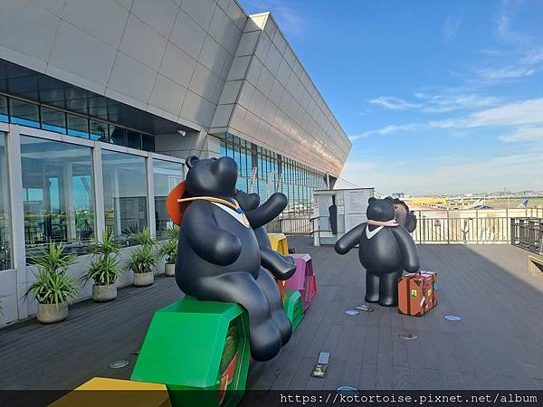 [日本北海道] 2025.6 住在美瑛小鎮