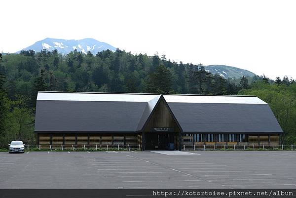 [日本北海道] 2025.6 夏日炎炎,旭岳健行賞雪